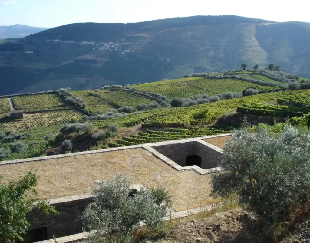 Cobertura Vegetal da Casa Ecológica Douro