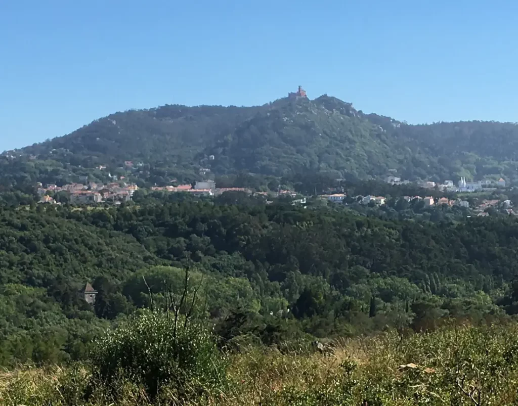 Terreno da Unidade de Cuidados Continuados