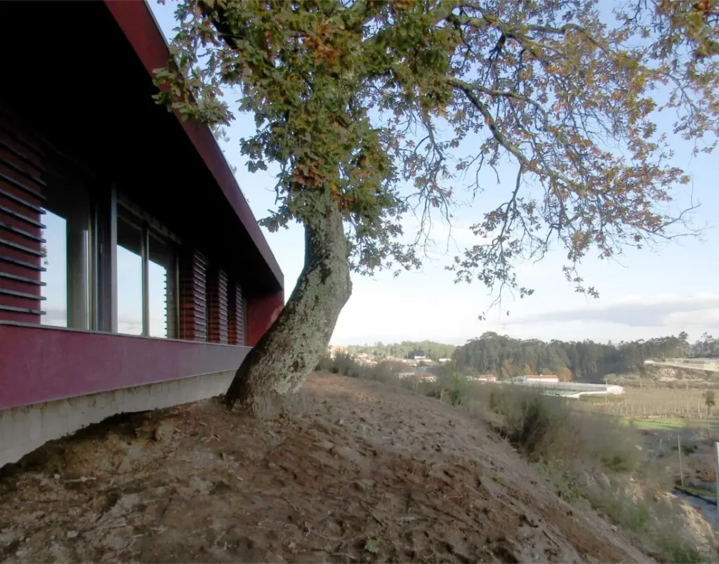 Casa ecológica na paisagem com carvalho